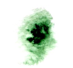 Praxis für Psychotherapie Julika Holzhäuser